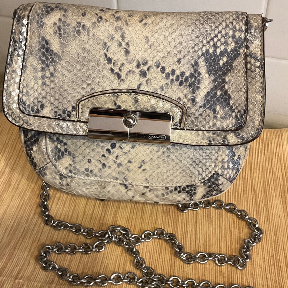Coach Snakeskin Python Crossbody Bag with Silver … - image 1
